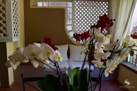 Villaggio Smeralda by Sardegna Smeralda Suite - 71