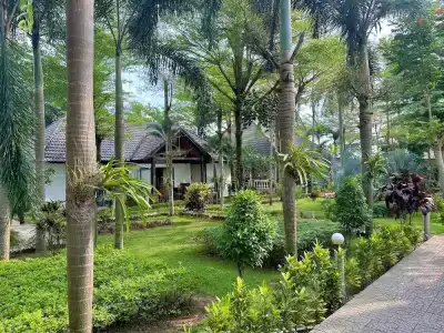 Orange Resort - 35