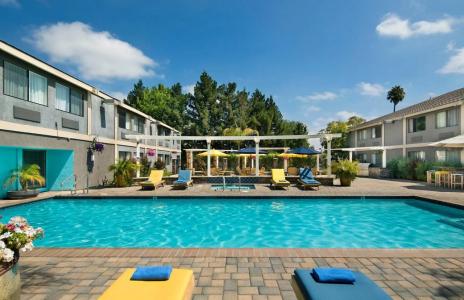 Maple Tree Inn - 15