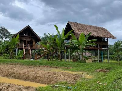 Our Jungle Camp - Eco Resort Sha Certified - 14