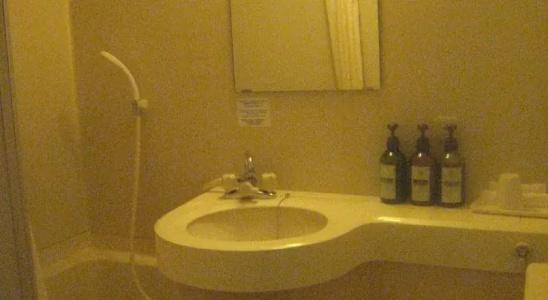 City Inn Tsurugashima - 7