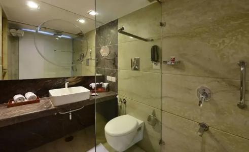 Lords Plaza Jaipur - 33