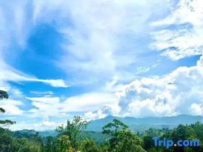 The Ella Nature Life Guest Inn - 76