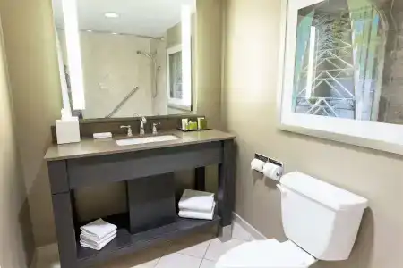 Hilton/ Fallsview and Suites - 9