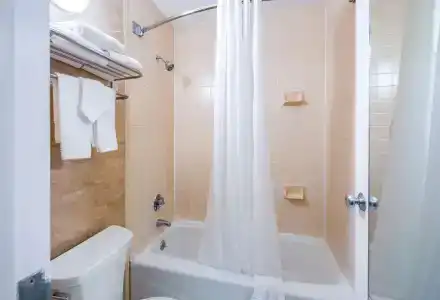 Quality Inn-Central Park Area - 61