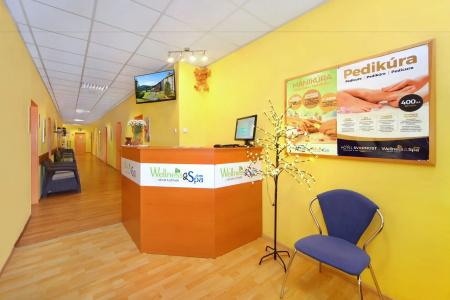 Wellness Svornost - 9
