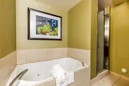 Hilton Garden Inn - 43