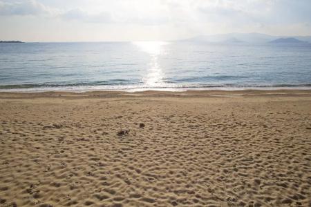 Marine Dream - 15