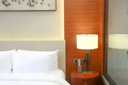 Holiday Inn Nanjing Xuanwu Lake, An Ihg - 32