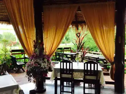 Pura Vida - 17
