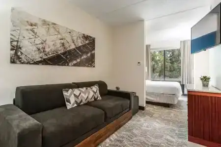 SpringHill Suites by Marriott Austin Northwest/The Domain Area - 3