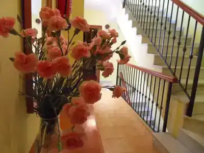 Marbella - 9