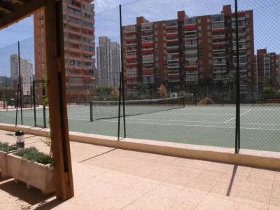Gemelos 26 - Fincas Arena - 12