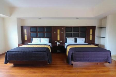 Loa Inn Business Centro Puebla - 33