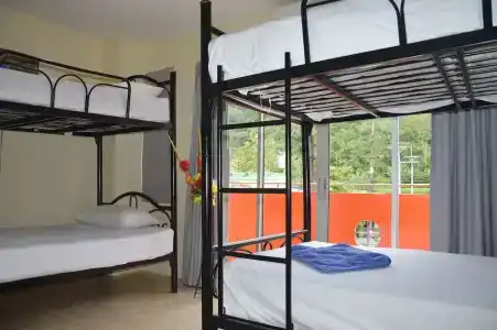 Living Room Guesthouse - 37