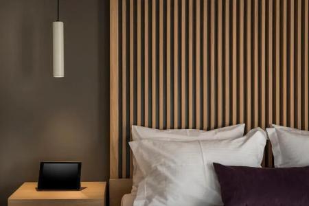 Trianon Luxury  & Suites - 95