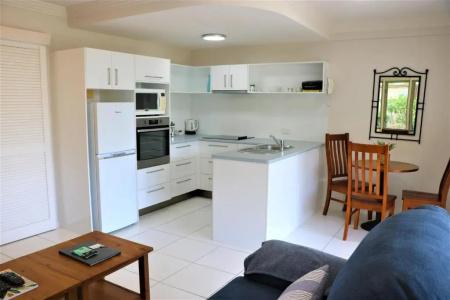 Noosa River Palms - 127