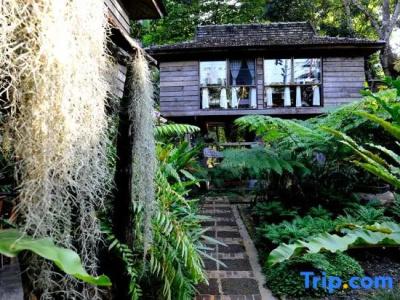 Fern Paradise - 34