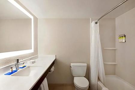 Holiday Inn Express & Suites Sarasota East, An Ihg - 41