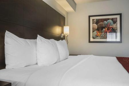 Quality Inn - 26
