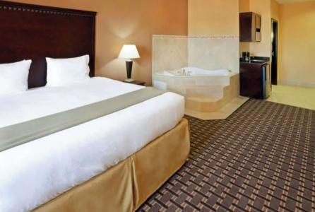 Comfort Inn & Suites Dallas Medical-Market Center - 41