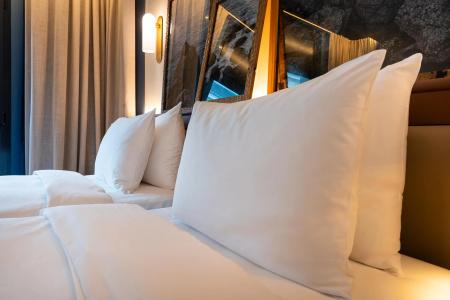 Radisson Blu Nantes - 21