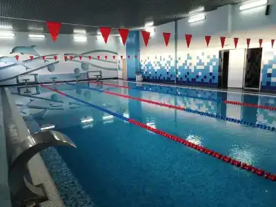 Спутник - 10