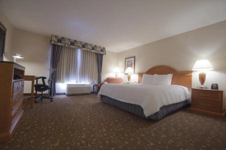 Hilton Garden Inn/Journal Center - 4