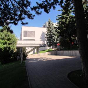 Sorea Regia - 40