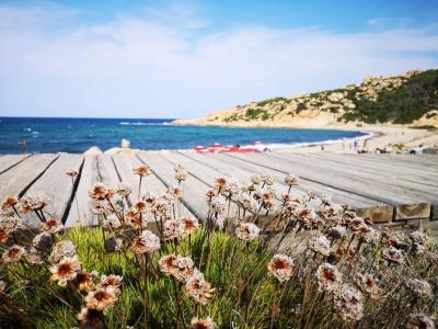 Club Esse Gallura - 18