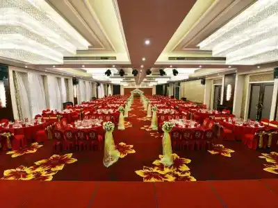 Xinyang Zhongle Baihua - 5