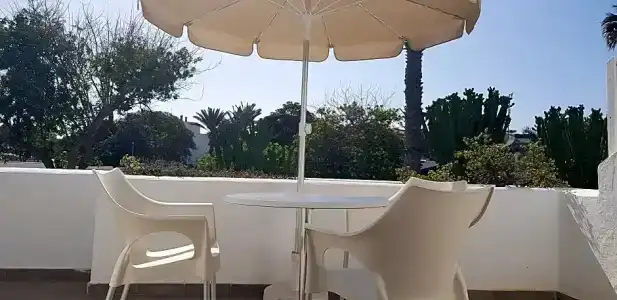 Palmeras Garden - 271