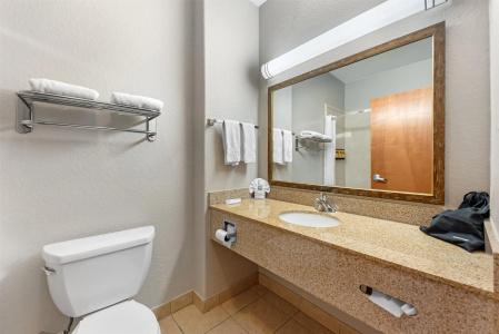 Best Western Plus San Antonio East Inn & Suites - 75