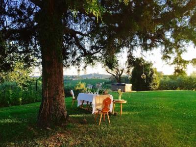 La Vigna di Sarah - 19