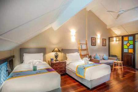 Areca Penang - 62