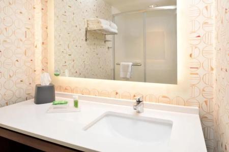 Holiday Inn & Suites Orlando International Drive South, An Ihg - 59