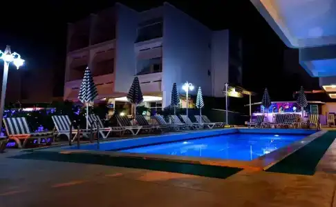 Green Palm - 11