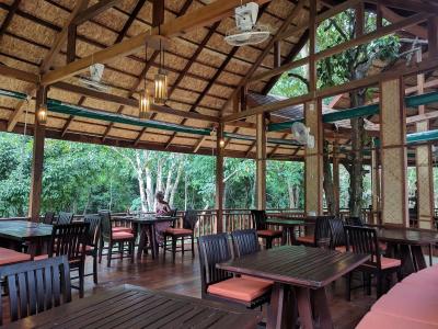 Our Jungle Camp - Eco Resort Sha Certified - 10