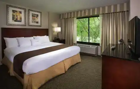 DoubleTree by Hilton Charlotte Airport - 31