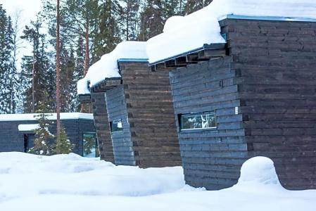 Arctic Circle Wilderness Lodge - 10