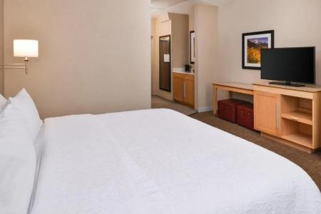 Hampton Inn & Suites Denver-Speer Boulevard - 61