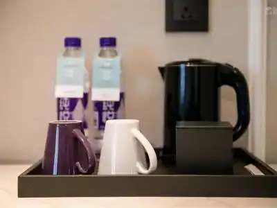Mercure Xi'an Qujiang - 43