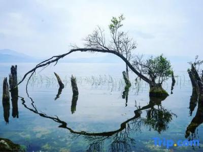 Yzl Seaview Garden Vacation - 22