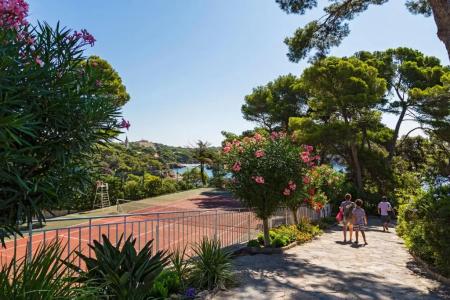 Provençal - 46
