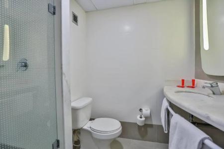ibis Sao Paulo Congonhas - 84