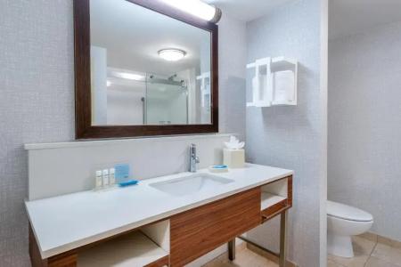 Hampton Inn & Suites Minneapolis St. Paul Airport - Mall of America - 38