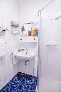 Blischke - 50