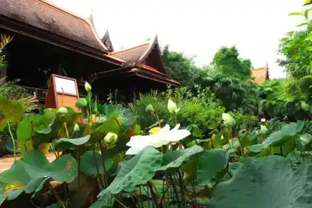 Khaolak Bhandari Resort & Spa - Sha Extra Plus - 24