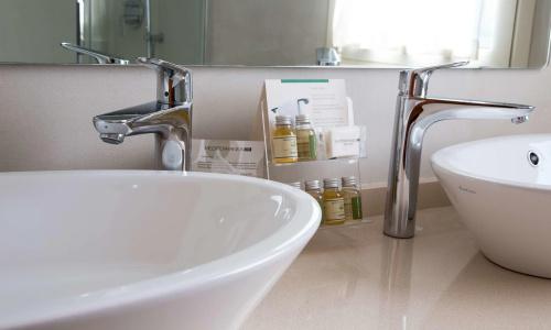 Best Western Anthurium - 7