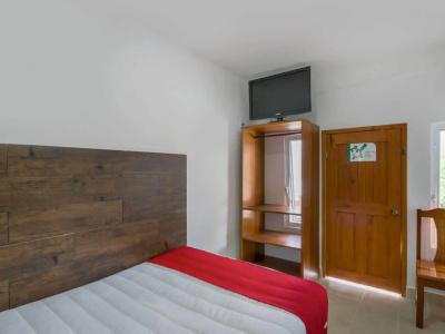 Palma Real - 30
